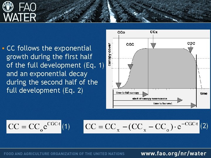  • CC follows the exponential growth during the first half of the full