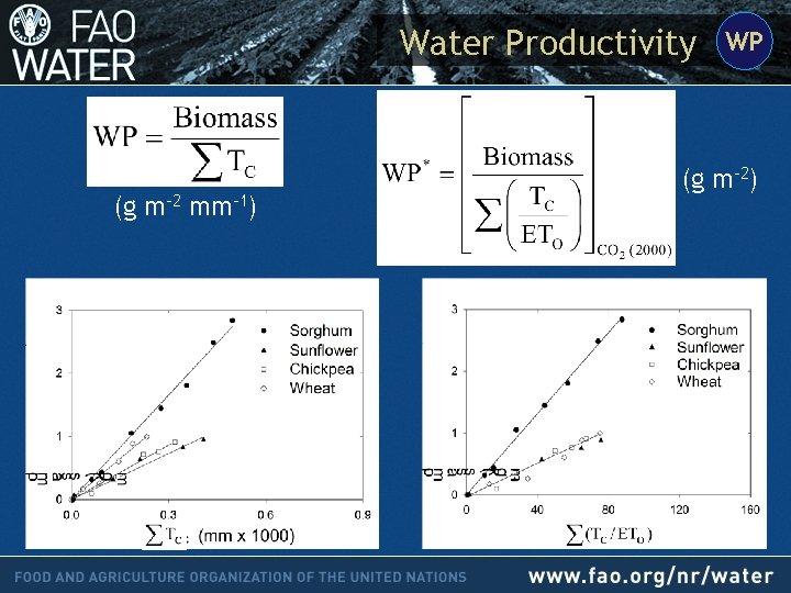 Water Productivity (g m-2 mm-1) WP (g m-2) 