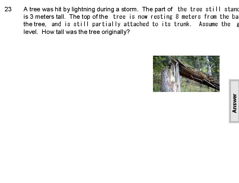 A tree was hit by lightning during a storm. The part of  the tree