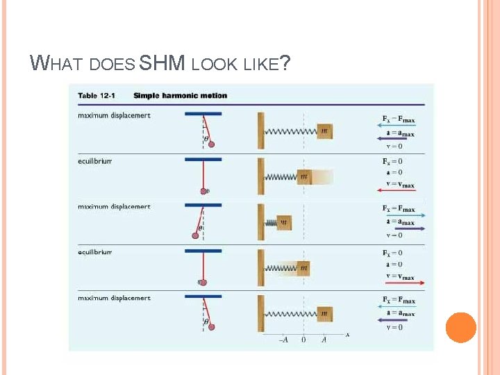 WHAT DOES SHM LOOK LIKE? 