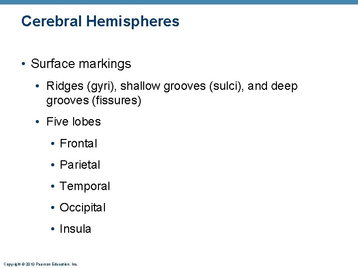 Cerebral Hemispheres • Surface markings • Ridges (gyri), shallow grooves (sulci), and deep grooves