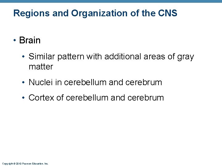 Regions and Organization of the CNS • Brain • Similar pattern with additional areas