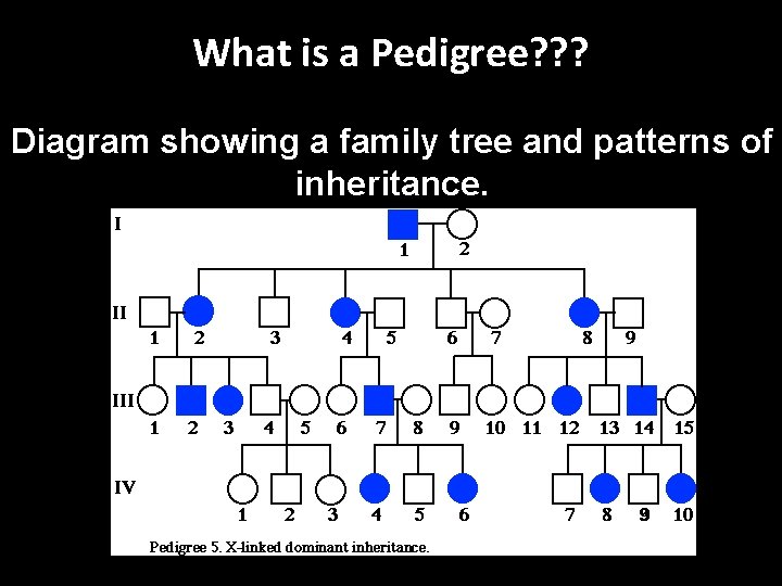 What is a Pedigree? ? ? Diagram showing a family tree and patterns of