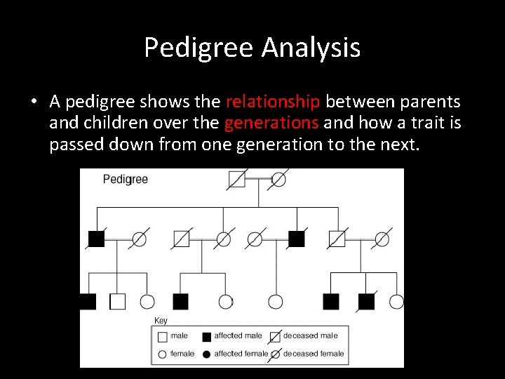 Pedigree Analysis • A pedigree shows the relationship between parents and children over the