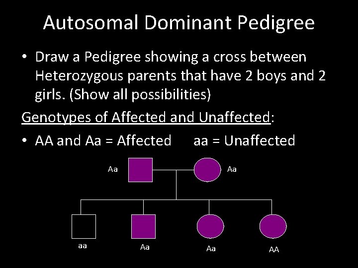 Autosomal Dominant Pedigree • Draw a Pedigree showing a cross between Heterozygous parents that