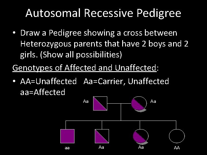 Autosomal Recessive Pedigree • Draw a Pedigree showing a cross between Heterozygous parents that