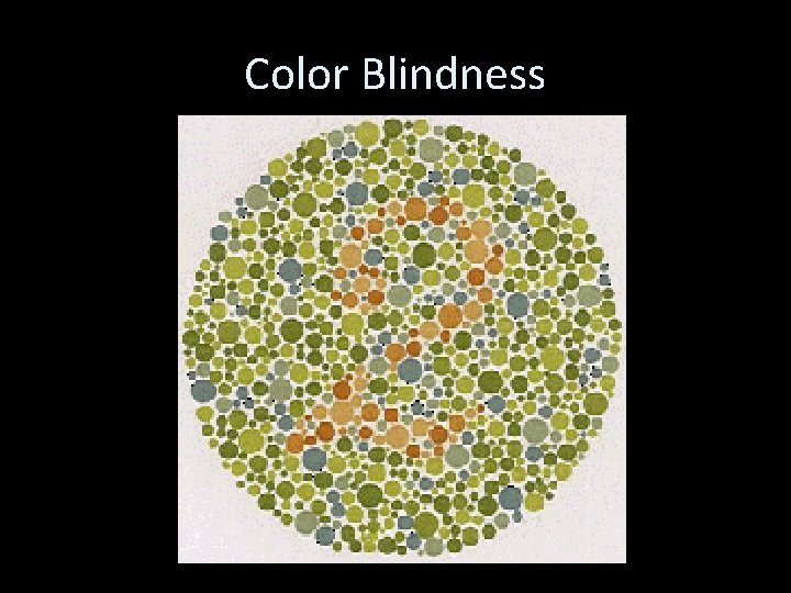 Color Blindness 