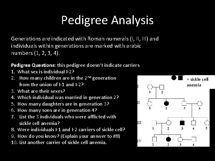 Pedigree Analysis Generations are indicated with Roman numerals (I, III) and individuals within generations