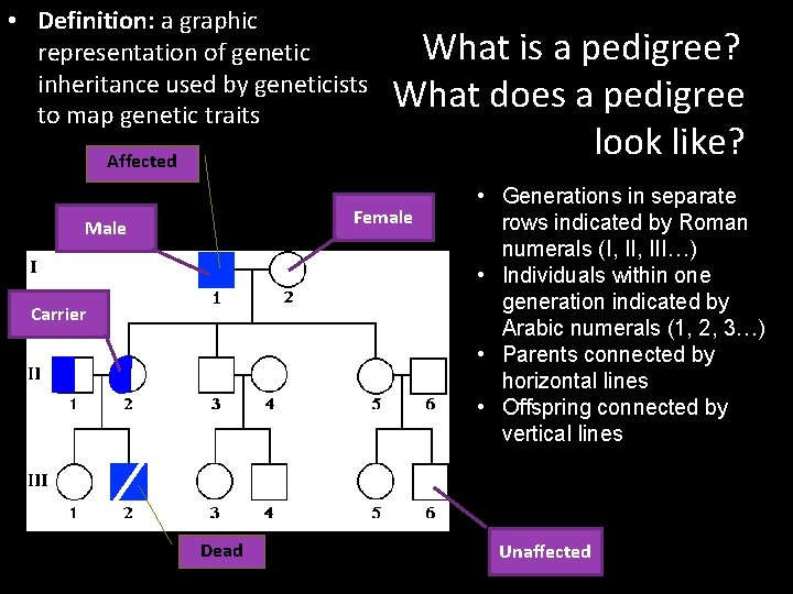  • Definition: a graphic representation of genetic inheritance used by geneticists to map