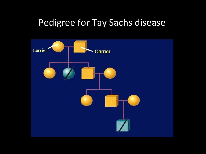 Pedigree for Tay Sachs disease Carrier 
