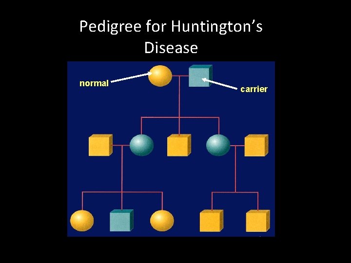Pedigree for Huntington’s Disease normal carrier 