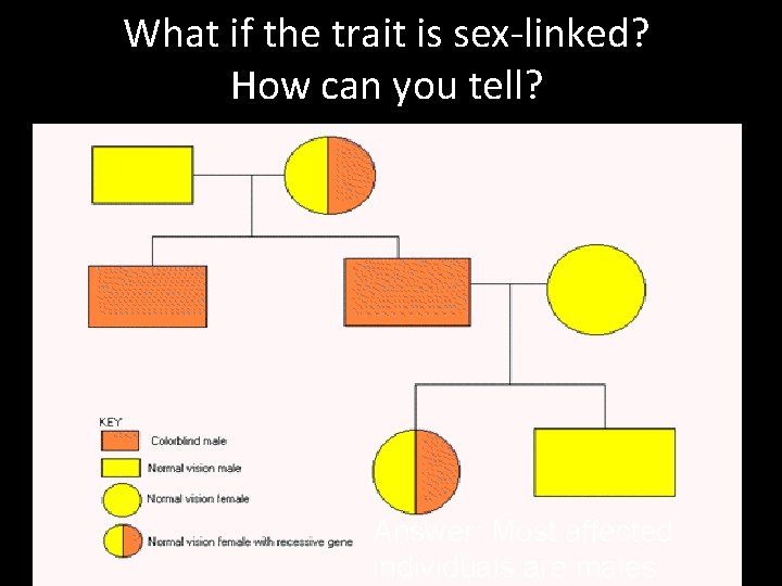 What if the trait is sex-linked? How can you tell? Answer: Most affected individuals