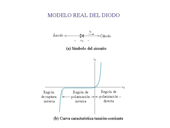 MODELO REAL DEL DIODO Ánodo Cátodo (a) Símbolo del circuito Región de ruptura inversa