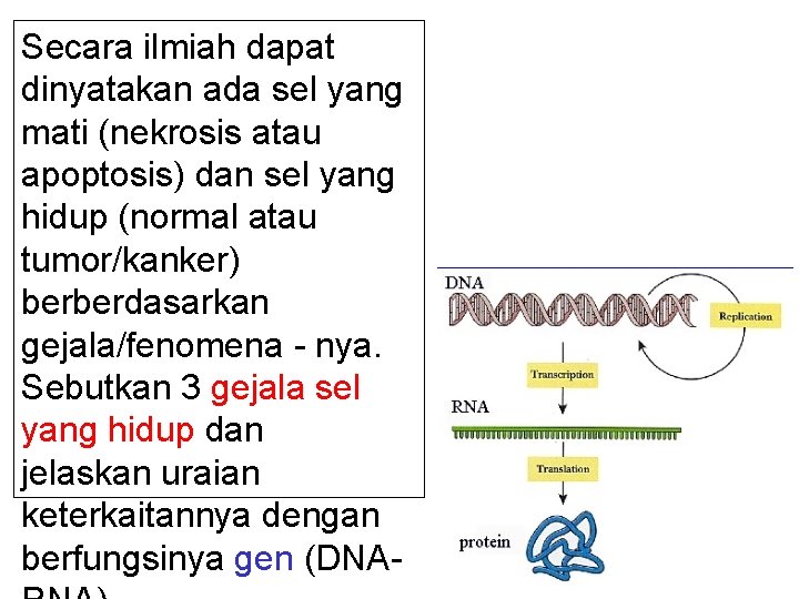 Secara ilmiah dapat dinyatakan ada sel yang mati (nekrosis atau apoptosis) dan sel yang