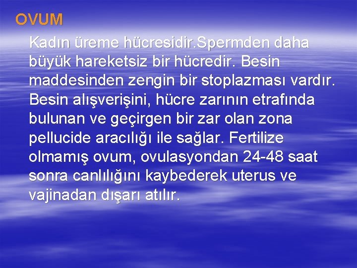 OVUM Kadın üreme hücresidir. Spermden daha büyük hareketsiz bir hücredir. Besin maddesinden zengin bir