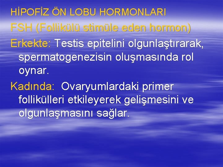 HİPOFİZ ÖN LOBU HORMONLARI FSH (Follikülü stimüle eden hormon) Erkekte: Testis epitelini olgunlaştırarak, spermatogenezisin