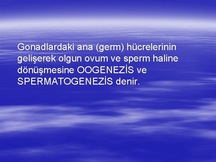 Gonadlardaki ana (germ) hücrelerinin gelişerek olgun ovum ve sperm haline dönüşmesine OOGENEZİS ve SPERMATOGENEZİS