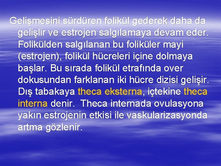 Gelişmesini sürdüren folikül gederek daha da gelişlir ve estrojen salgılamaya devam eder. Folikülden salgılanan