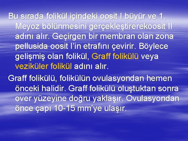 Bu sırada folikül içindeki oosit I büyür ve 1. Meyoz bölünmesini gerçekleştirerekoosit II adını