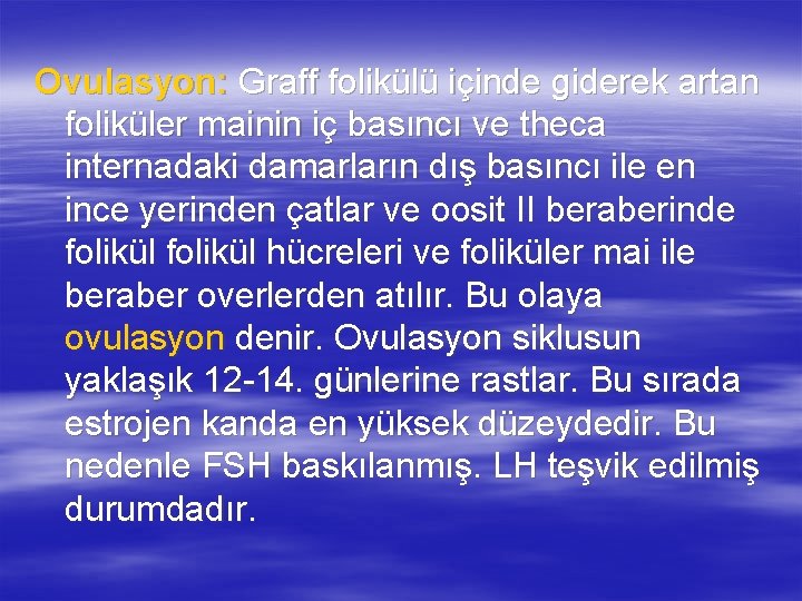 Ovulasyon: Graff folikülü içinde giderek artan foliküler mainin iç basıncı ve theca internadaki damarların