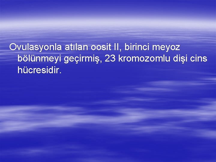 Ovulasyonla atılan oosit II, birinci meyoz bölünmeyi geçirmiş, 23 kromozomlu dişi cins hücresidir. 