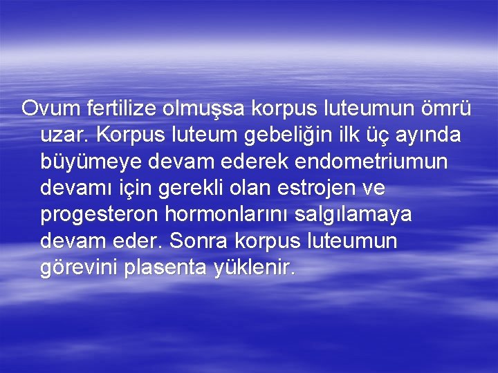 Ovum fertilize olmuşsa korpus luteumun ömrü uzar. Korpus luteum gebeliğin ilk üç ayında büyümeye