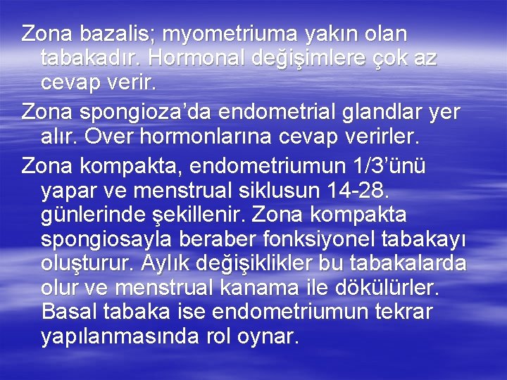 Zona bazalis; myometriuma yakın olan tabakadır. Hormonal değişimlere çok az cevap verir. Zona spongioza’da