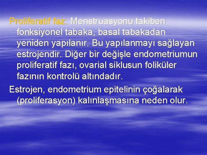 Proliferatif faz: Menstruasyonu takiben fonksiyonel tabaka, basal tabakadan yeniden yapılanır. Bu yapılanmayı sağlayan estrojendir.