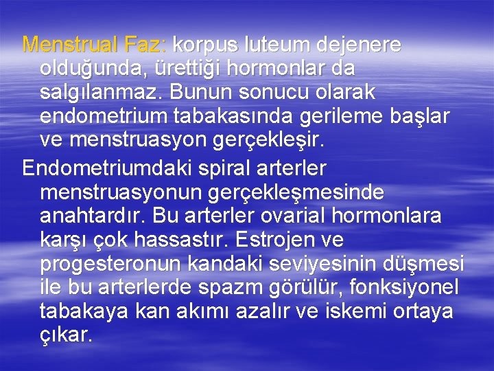 Menstrual Faz: korpus luteum dejenere olduğunda, ürettiği hormonlar da salgılanmaz. Bunun sonucu olarak endometrium