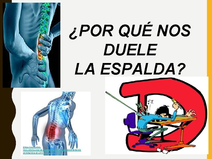 ¿POR QUÉ NOS DUELE LA ESPALDA? https: //encryptedtbn 3. gstatic. com/images? q=tbn: ANd 9 ¿POR QUÉ NOS DUELE LA ESPALDA? https: //encryptedtbn 3. gstatic. com/images? q=tbn: ANd 9