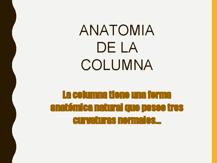 ANATOMIA DE LA COLUMNA La columna tiene una forma anatómica natural que posee tres ANATOMIA DE LA COLUMNA La columna tiene una forma anatómica natural que posee tres