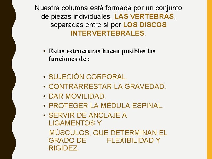 Nuestra columna está formada por un conjunto de piezas individuales, LAS VERTEBRAS, separadas entre Nuestra columna está formada por un conjunto de piezas individuales, LAS VERTEBRAS, separadas entre
