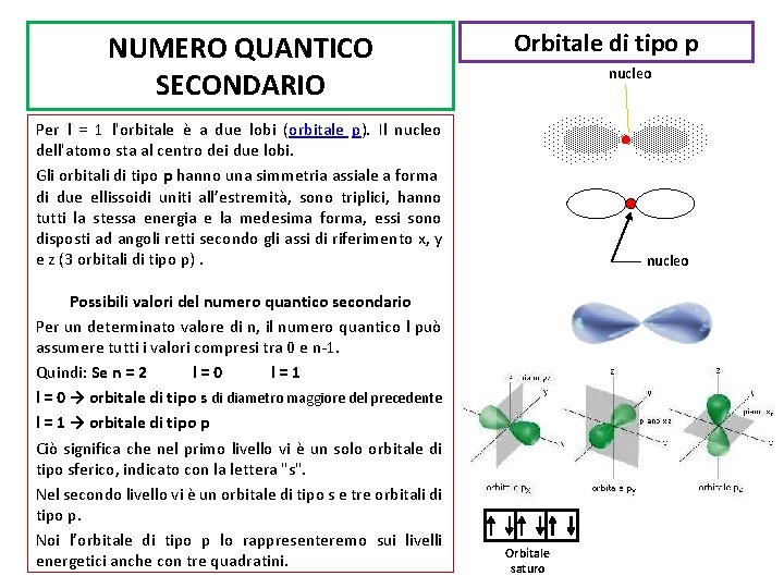 NUMERO QUANTICO SECONDARIO Orbitale di tipo p nucleo Per l = 1 l'orbitale è