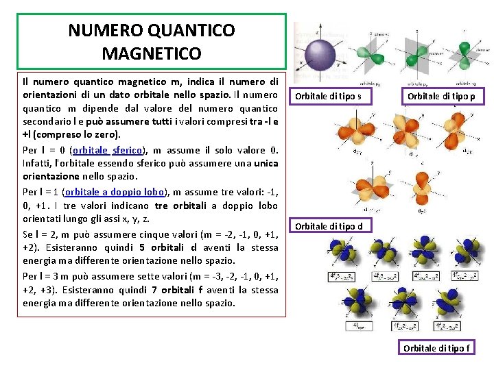 NUMERO QUANTICO MAGNETICO Il numero quantico magnetico m, indica il numero di orientazioni di