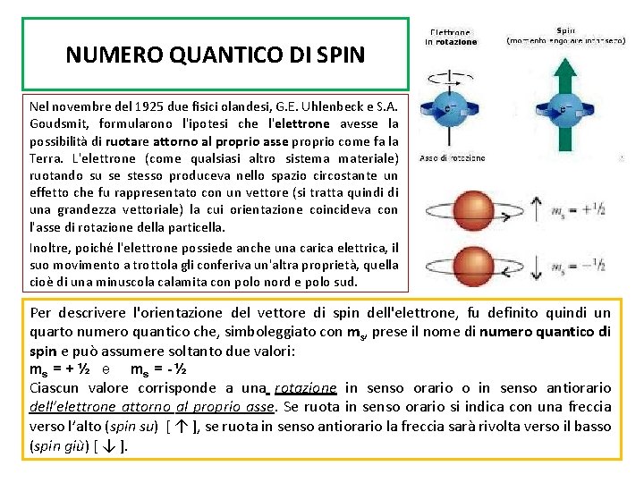 NUMERO QUANTICO DI SPIN Nel novembre del 1925 due fisici olandesi, G. E. Uhlenbeck