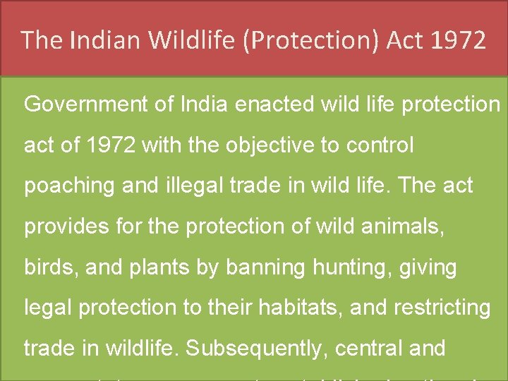 The Indian Wildlife (Protection) Act 1972 Government of India enacted wild life protection act The Indian Wildlife (Protection) Act 1972 Government of India enacted wild life protection act