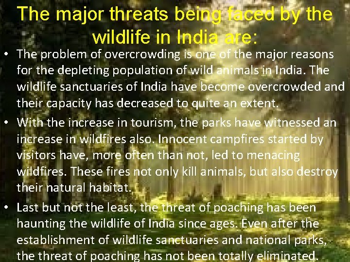 The major threats being faced by the wildlife in India are: • The problem The major threats being faced by the wildlife in India are: • The problem