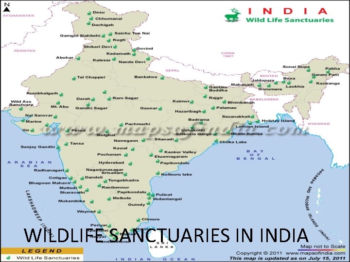 WILDLIFE SANCTUARIES IN INDIA WILDLIFE SANCTUARIES IN INDIA