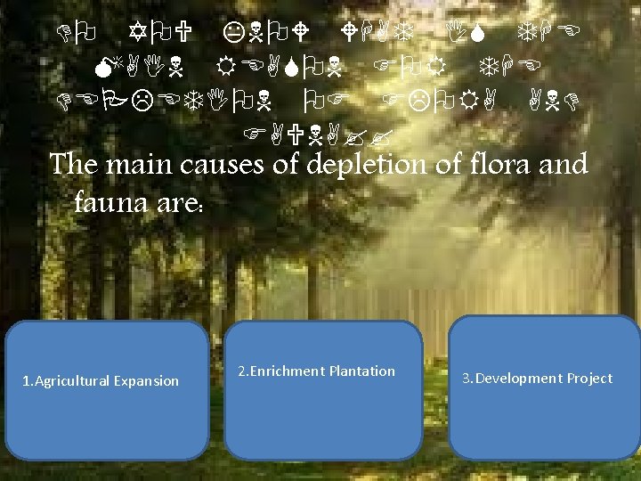 DO YOU KNOW WHAT IS THE MAIN REASON FOR THE DEPLETION OF FLORA AND DO YOU KNOW WHAT IS THE MAIN REASON FOR THE DEPLETION OF FLORA AND