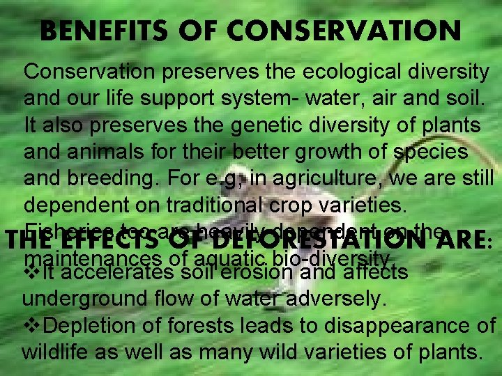 BENEFITS OF CONSERVATION Conservation preserves the ecological diversity and our life support system- water, BENEFITS OF CONSERVATION Conservation preserves the ecological diversity and our life support system- water,
