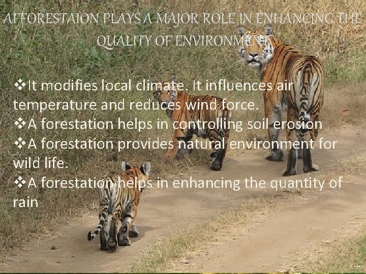 AFFORESTAION PLAYS A MAJOR ROLE IN ENHANCING THE QUALITY OF ENVIRONMENT v. It modifies AFFORESTAION PLAYS A MAJOR ROLE IN ENHANCING THE QUALITY OF ENVIRONMENT v. It modifies