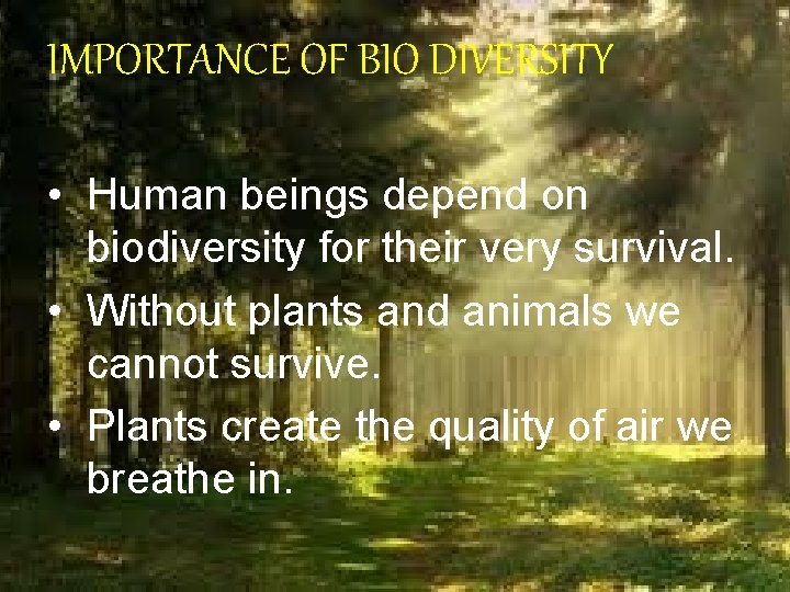 IMPORTANCE OF BIO DIVERSITY • Human beings depend on biodiversity for their very survival. IMPORTANCE OF BIO DIVERSITY • Human beings depend on biodiversity for their very survival.