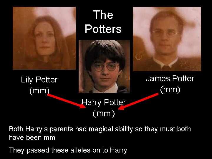The Potters James Potter (mm) Lily Potter (mm) Harry Potter (WW mm ) Both