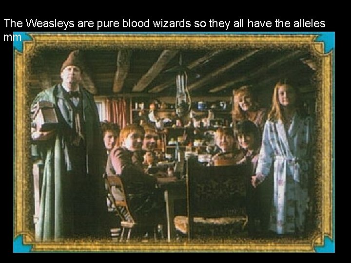 The Weasleys are pure blood wizards so they all have the alleles mm The Weasleys are pure blood wizards so they all have the alleles mm