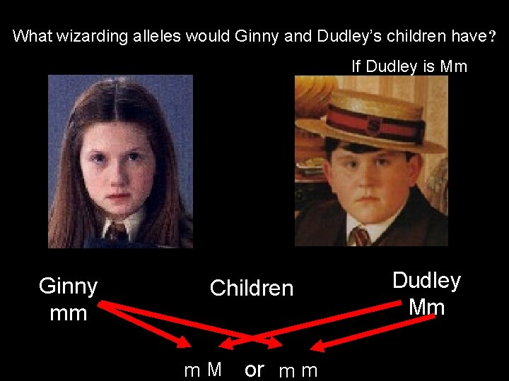 What wizarding alleles would Ginny and Dudley’s children have? If Dudley is Mm Ginny