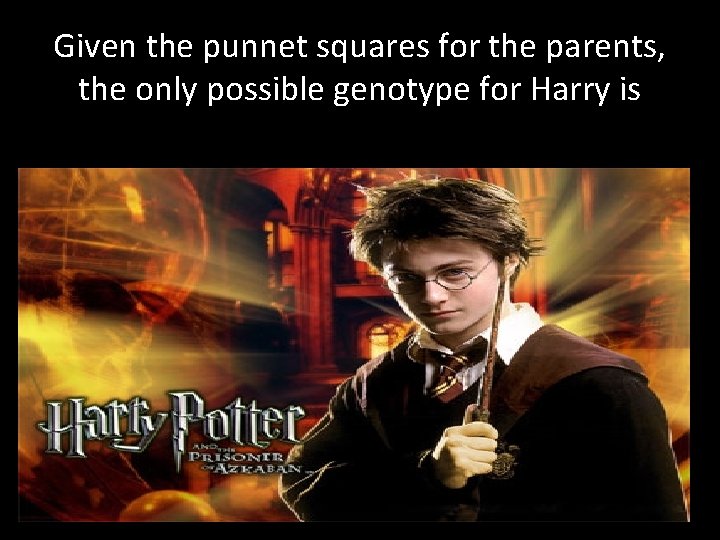 Given the punnet squares for the parents, the only possible genotype for Harry is Given the punnet squares for the parents, the only possible genotype for Harry is