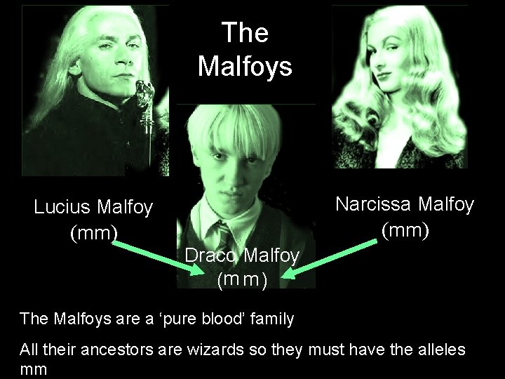 The Malfoys Lucius Malfoy (mm) Narcissa Malfoy (mm) Draco Malfoy (m m ) The