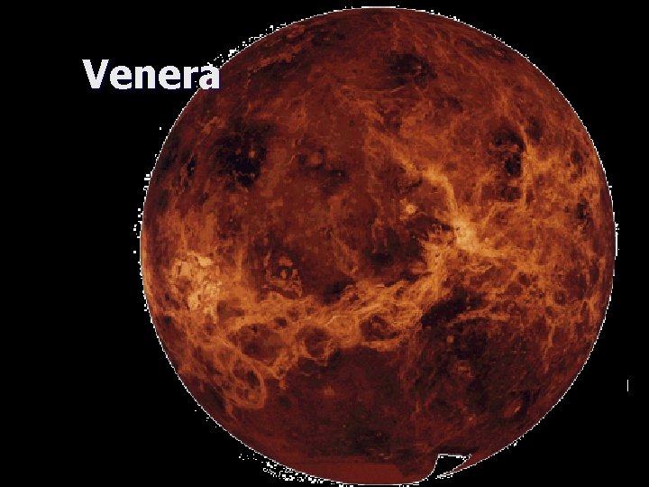 Venera 