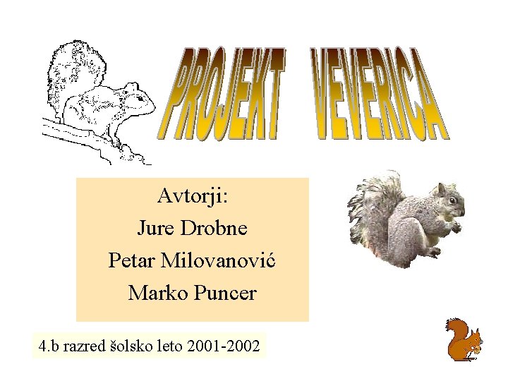 Avtorji: Jure Drobne Petar Milovanović Marko Puncer 4. b razred šolsko leto 2001 -2002