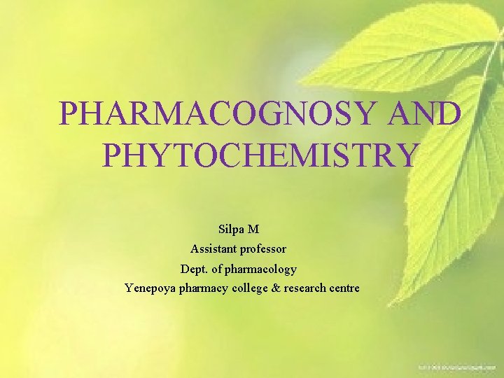 PHARMACOGNOSY AND PHYTOCHEMISTRY Silpa M Assistant professor Dept. of pharmacology Yenepoya pharmacy college &